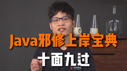 【Java邪修の上岸宝典】10面9过！全靠这套SOP！x资还能往高了要！Java后端/求职面试/跳槽涨薪/后端开发/项目Java面试速成/Java面试题