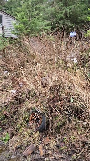 would you live in this primitive cabin #primitive #foryoupage #cabin