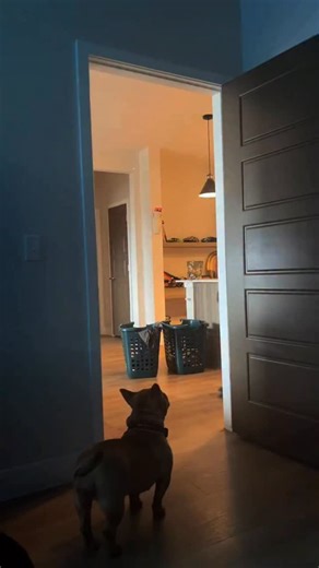 Mindless on Instagram: "Tech addiction tracks closely with substance addiction because both hijack the same core learning loop: cue, craving, reward, and reinforcement. With substances, the reward is chemical. With tech, the reward is informational, social, and psychological: novelty, validation, certainty, and relief from boredom or stress. Either way, the brain learns that a fast, reliable hit is available on demand, and it begins to prioritize that behavior over slower, less stimulating rewar