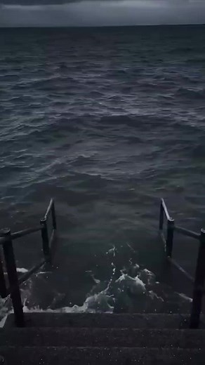 Top 10 Funny Memes You Can't Miss