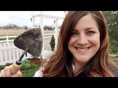 Planting Day! 🌿💚// Garden Answer