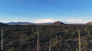 Beautiful Arizona Sonoran Desert Landscape With Mountains & Saguaro Cactus
