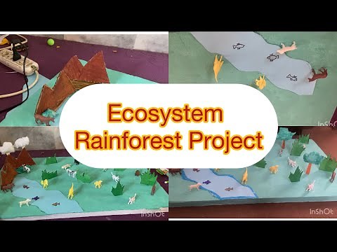 How to make Ecosystem || rainforest project || summer task ||