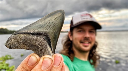 What turned up while searching for antique bottles