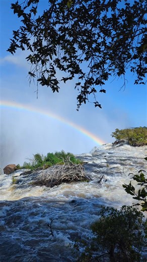 Wenn die Natur zeigt, was in ihr steckt. 💪🏼 Du möchtest die Victoria Falls live erleben? Über 400 Kuoni Reiseprofis in der Schweiz lassen diesen Traum wahr werden. Schau dir hier unsere einzigartigen Simbabwe-Rundreisen an: https://kuoni.link/victoria-falls | Kuoni