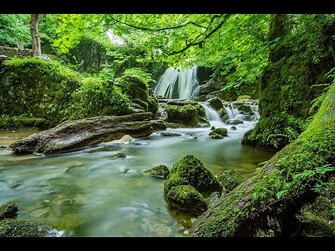 30 Min Musique relaxante, écoulement de ruisseau, mer, bruit d'eau pour dormir et déstresser