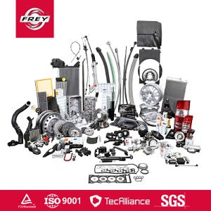 [Hot Item] Фрей Авто Запчасти для БМВ Мерседес Бенц Спринтер W901 W902 W903 W904 W905 W906 W907 W910 Поставщик Автозапчастей