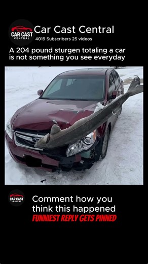 Car totaled by a fish??