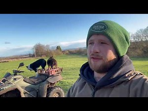 How sheep eat, different types of grazing
