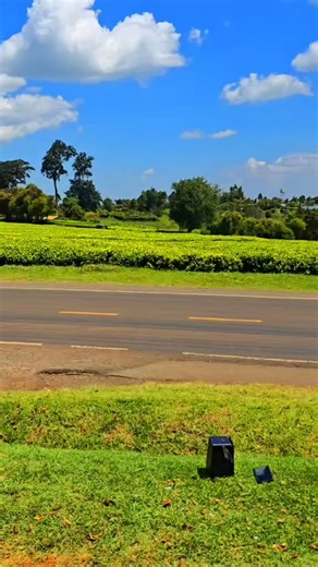 #kikuyuisbae #nairobi #mugithi #kenya | Mose_w