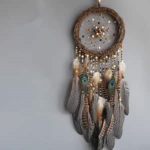 DIY Dream Catcher kit,Crafts for Adults,Nature Vine Wreath Wall Decor,Feather Hanging Gift for Bedroom (Natural Color, 9.8")