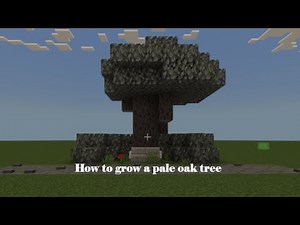 How to Grow a Pale Oak Tree in Minecraft | Minecraft Bedrock