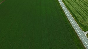 Journey on the road. Vehicle moves along an asphalt path through fields