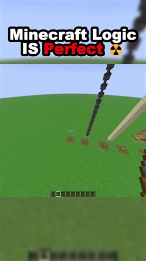 Minecraft: Why Carrots Survive Heavy Loads — Weird Game Logic