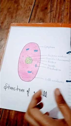 file decoration ideas