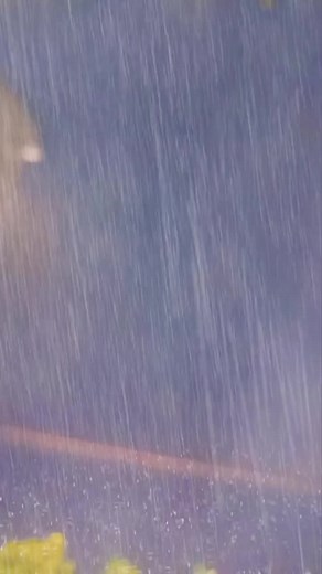 دعاء تحت المطر: يارب اجعل دعواتنا مستجابة