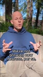 What is Synaptogenesis?