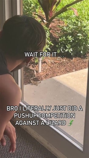 Unusual Lizard Push-Up Challenge Goes Viral