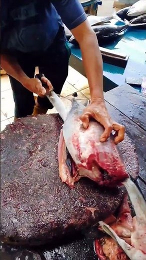 ⚡Quick & Easy Tuna Fillet | so Satisfying! #shorts #knifeskills #tunacutting #seafood