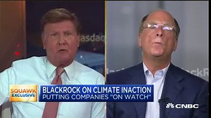 BlackRock CEO Larry Fink on climate change and ESG investing