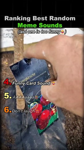 Ranking Best Random Meme Sounds
