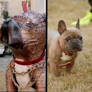 2 Chainz loves his French bulldog, Trappy, so much he paid $1,000 for a custom piñata of him. Season 3 of MOST EXPENSIVEST has dropped, watch the box set for free on All 4. | VICE TV