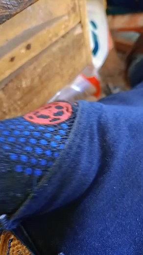 Exploring Unique Banknote Designs and Features