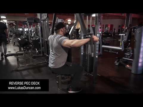 Reverse Pec Deck