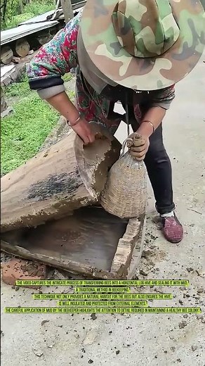 Sealing the Hive: Traditional Beekeeping Techniques