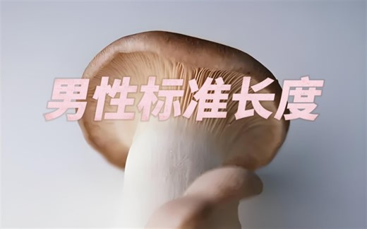 男性标准长度