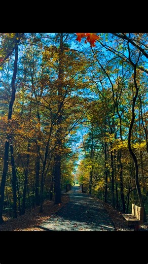 Sulfur Creek bike / walking trails. Heber Springs Arkansas. #Arkansas #peace #fallseason | Malinda Ring