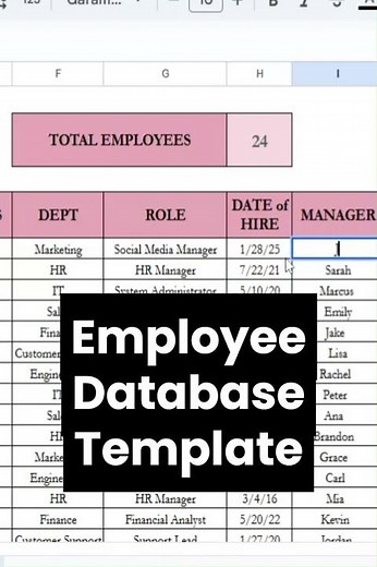 Employee Database Excel Spreadsheet, Employee Contact List Google Sheets, HR Template