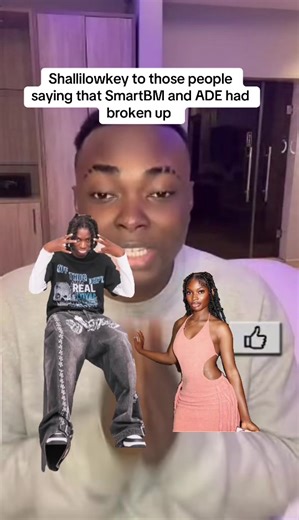 SmartBM and ADE Relationship Update: No Breakup