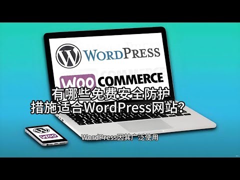 Professional WordPress developer for international e-commerce stores,WordPress,WordPress website