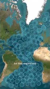 “Complete World History Explained with Map Animation | Full Documentary"