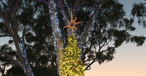 Exclusive deals & holiday entertainment: SLO Ho Ho Holiday Stroll kicks off Saturday