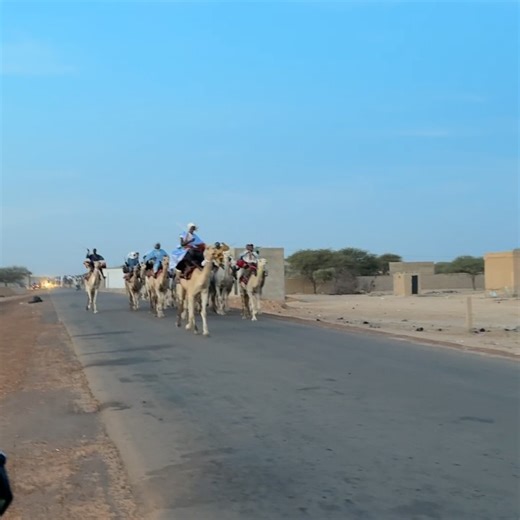 Caitlin Kelly on Instagram: "Behind the scenes on the Mali-Mauritania border 🎥 This was my first trip working with some of the brilliant journalists based in West Africa. Feeling grateful for the support, expertise, and generosity of our community in this region. More stories soon but for now, here are a few moments in between our interviews and long, dusty drives. Scroll for yet another embarrassing blooper ➡️"
