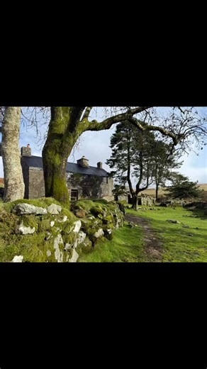 Lovely day walking on Dartmoor to clear my head and recharge. #dartmoor #walking #countrymouse #walkingformentalhealth #dartmoornationalpark | Country Mouse