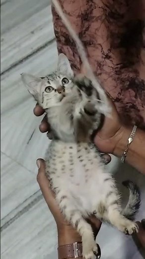 fun time with loveable family...🫶