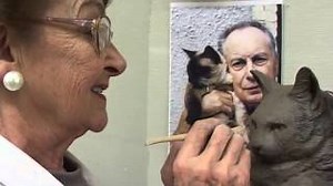 Documentaire | Cours du soir