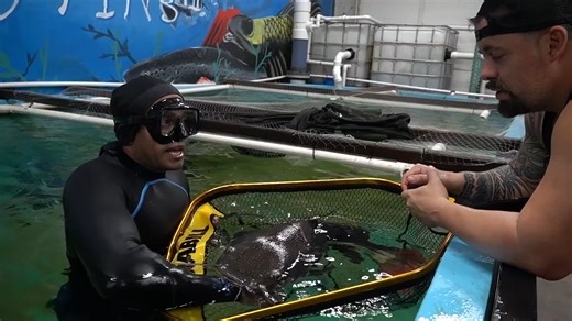 What was inside this 5 foot catfish shocked us