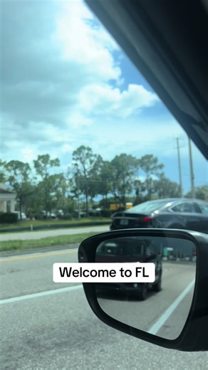 Just FL things #thunderstorm #rainyseason #summerweather