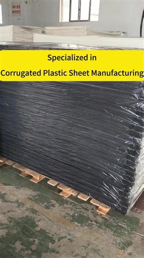 Corrugated Plastic Sheet Manufacturing Factory | Direct Production with Competitive Pricing