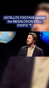 447K views · 11K reactions | Do you think they still exist ?! | Matt Welland | Facebook