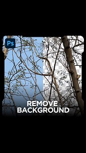 Quick Way to Remove Complex Background in Photoshop 2025 🤯 | Graphic Station
