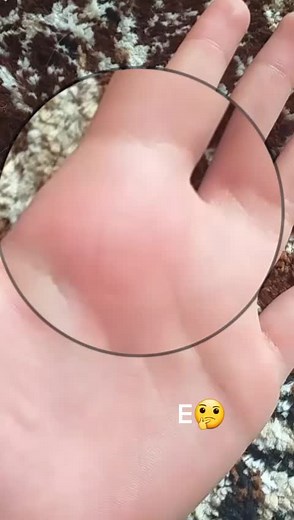 Exploring the Unique Features of a Human Hand