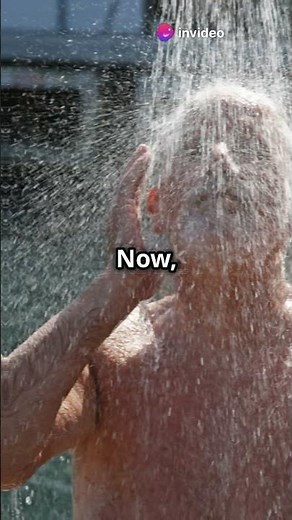 Behind the Walls: How Plumbing Systems Work!