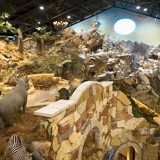 13K views · 122 reactions | Our Trophy Room stands as a proud reminder of the victories and achievements that define the true spirit of Champion Ranch. It’s truly unforgettable—we can’t wait to show you in person. https://championranch.com/stay/trophy-room/ #luxuryresort | Champion Ranch | Facebook