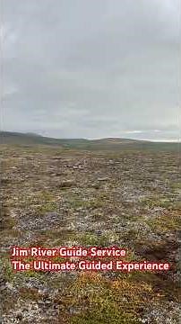 Jim River Guide Service provides the Ultimate Guided Experience. #brownbearhunting #huntingAlaska