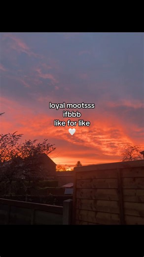 Understanding Moots and Their Loyalty in Social Circles